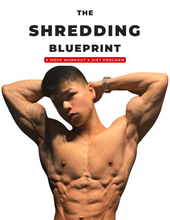 Load image into Gallery viewer, THE SHREDDING BLUEPRINT COVER
